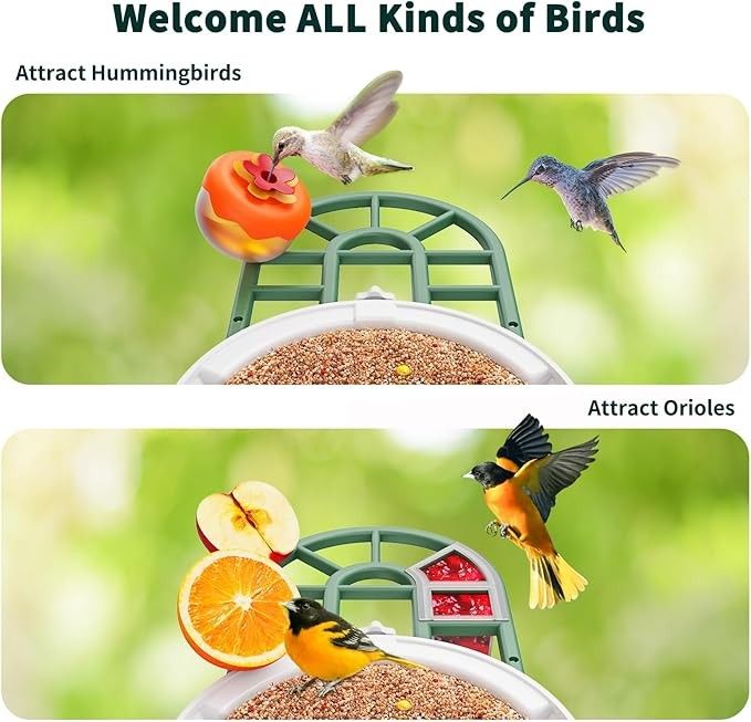 Bird Feeder with Camera with AI Identify Birds Species Solar Panel