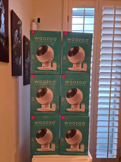 Fan ( Brand New Woozoo Fan)