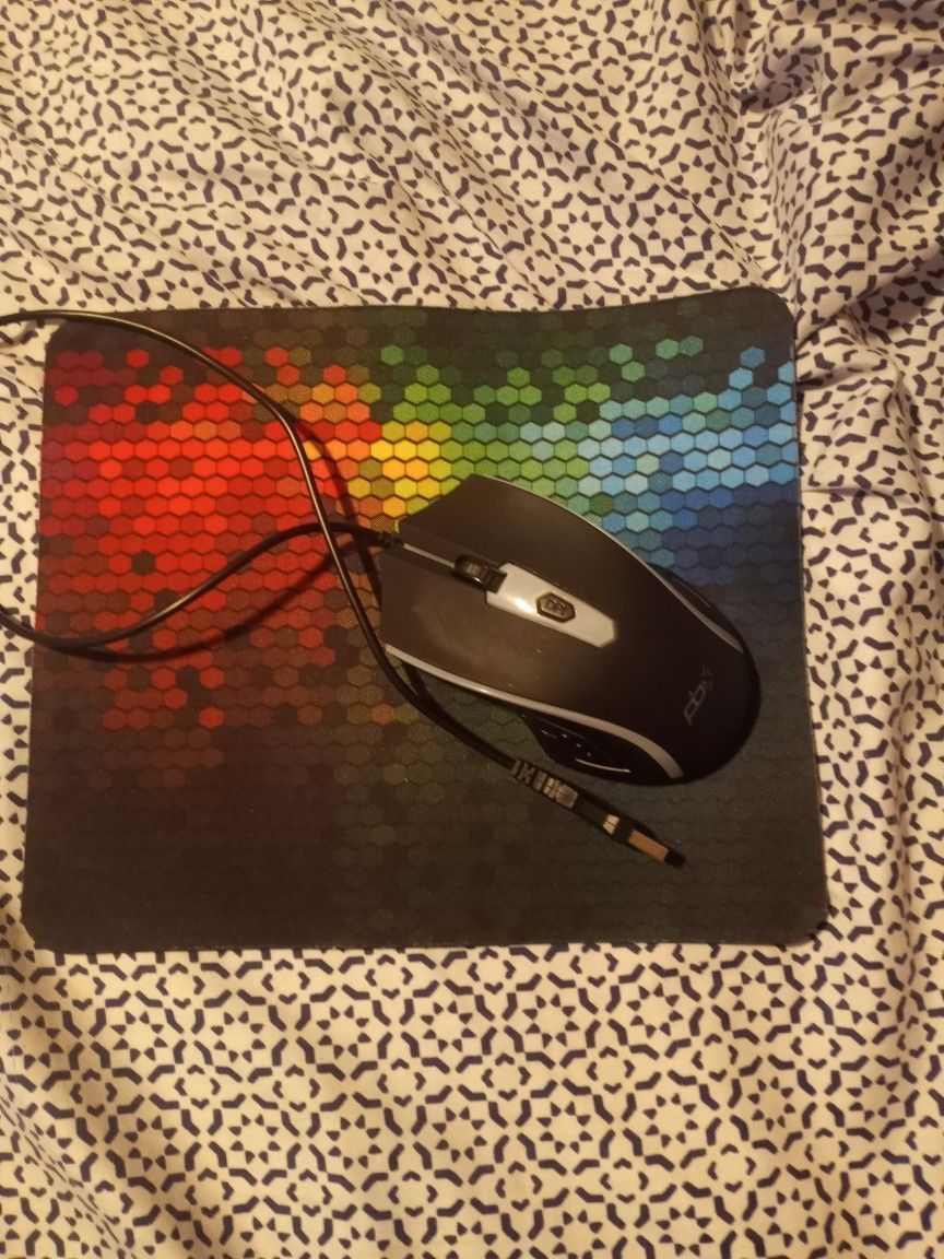 Mouse