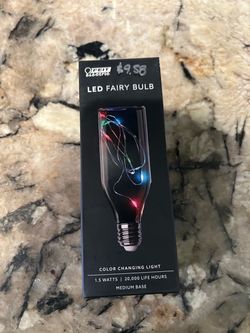 LED Fairy Bulb Color Changing