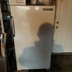 Upright Freezer 