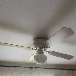 Ceiling Fan Light 