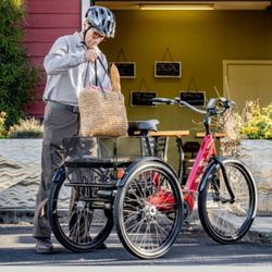 Brand New 26" Tricycle Bike Was $650