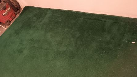 Green carpet just pulled out of a room needs a lil cleaning 15x12