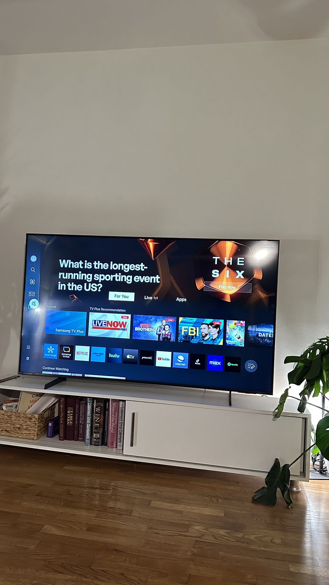 65" Samsung TV