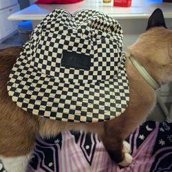 Full Checkered Vans Hat 