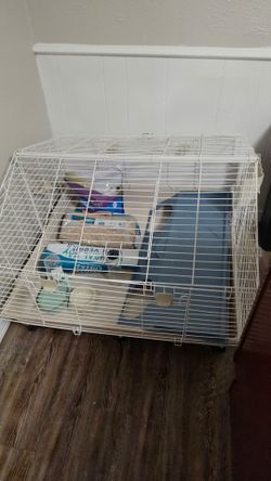 Guinea pig enclosure with extras