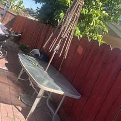 Back yard patio table