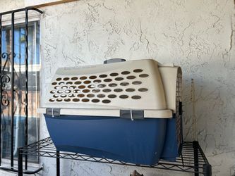 Kennel