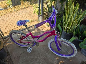 Dynacraft Bike