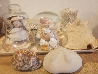 Shells Decorations Sets