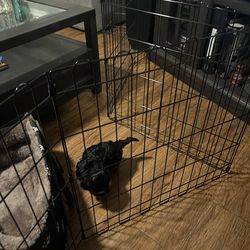 Puppy fence