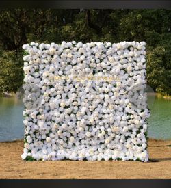 White Flower Wall