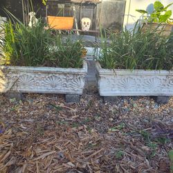 Vintage Cement Rectangle Planters