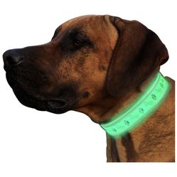 Pet Dog Cat LED Collar Flash Light Removable USB Rechargable with Wire Nylon Material for Night Walking Safety Warning