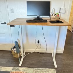 Home Desk STANDING OR SITTING ELECTRIC 