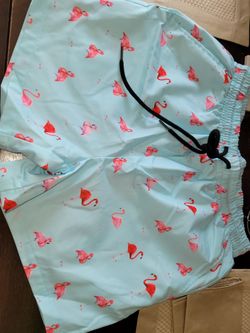 Flamingo Shorts Sz Men's Small