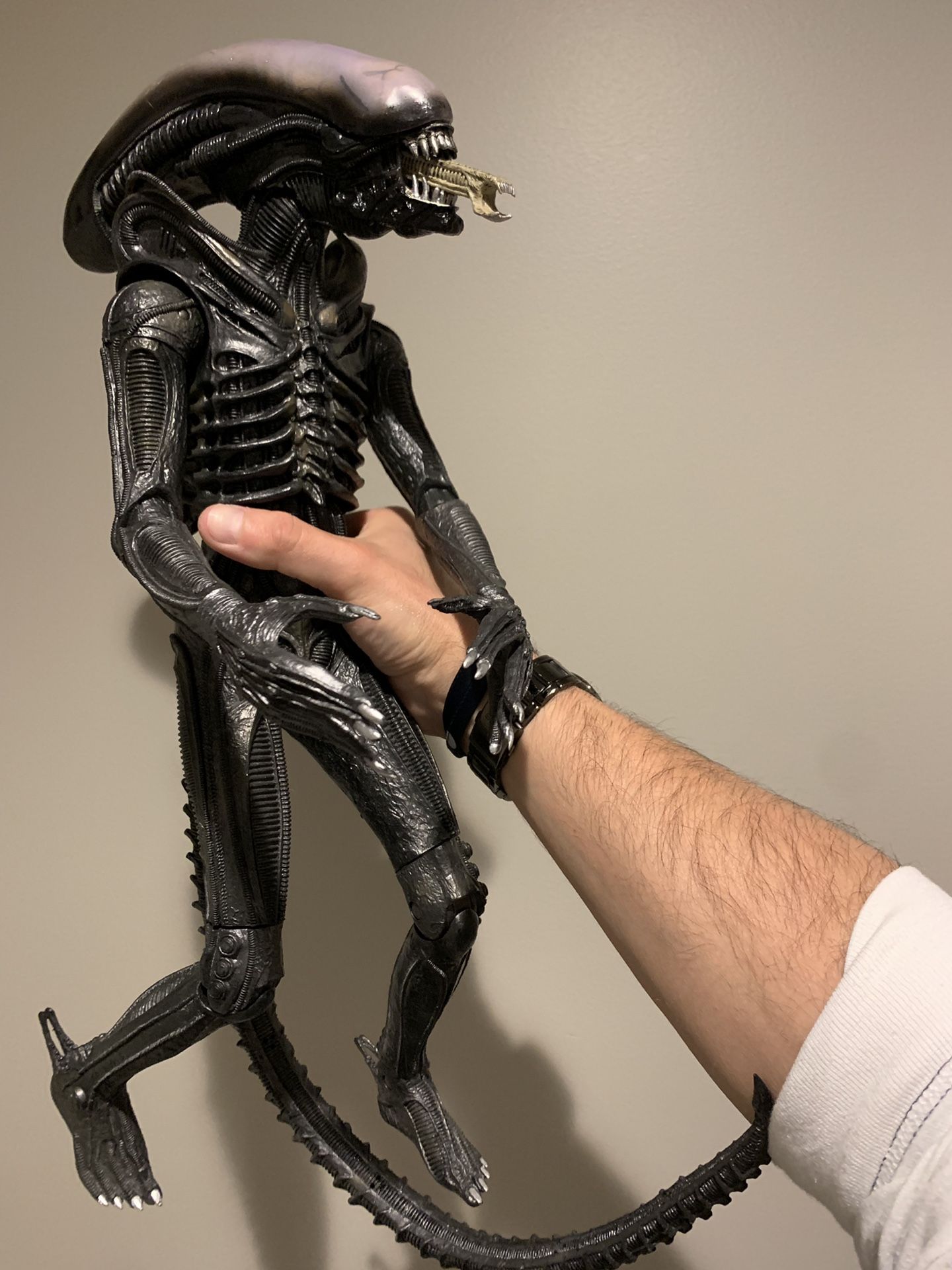 Alien / Xenomorph Extra Tall Action Figure