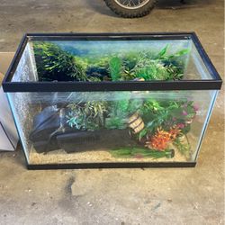 Aquarium And Filters
