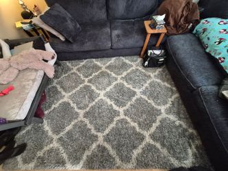 9x13 high pile rug