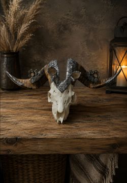 Ram Skull with horns