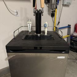 2 Tap Kegerator Insignia