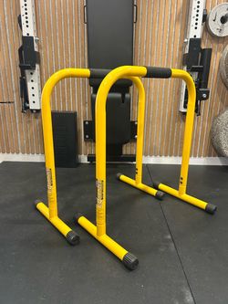 Lebert EQualizer Total Body Strengthener Dip Station Standard