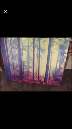 Large canvas picture