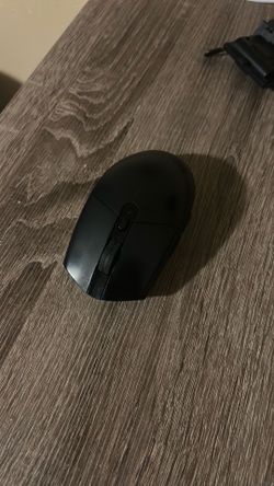 computer mouse
