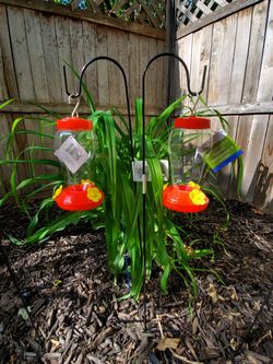 Pair of hummingbird Feeders with hangars