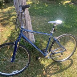 Giant Cypress Bicycle Large