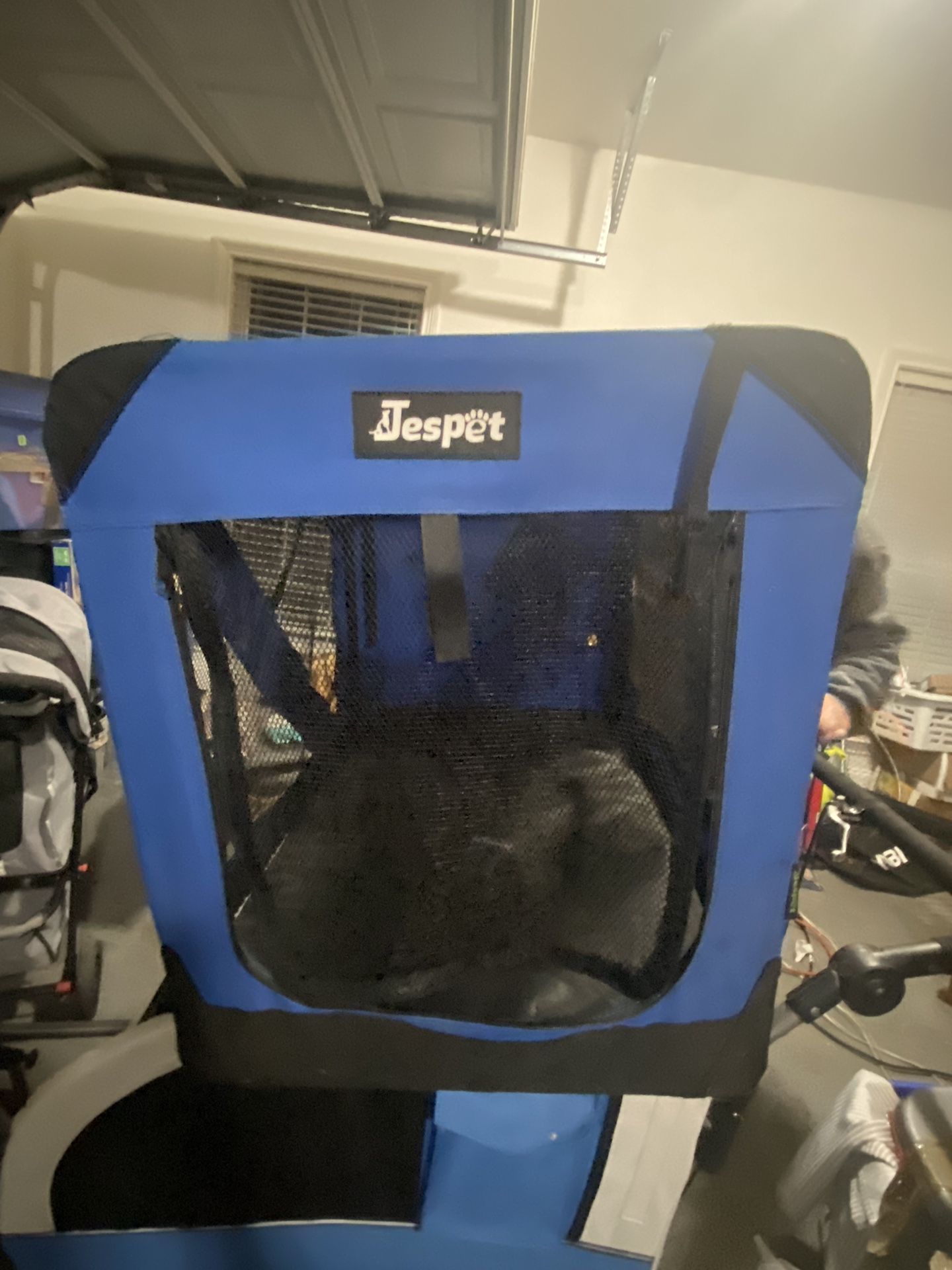 Pet Carrier