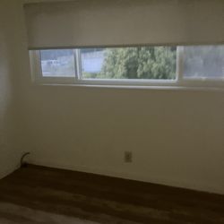 Blackout Rolling Shades