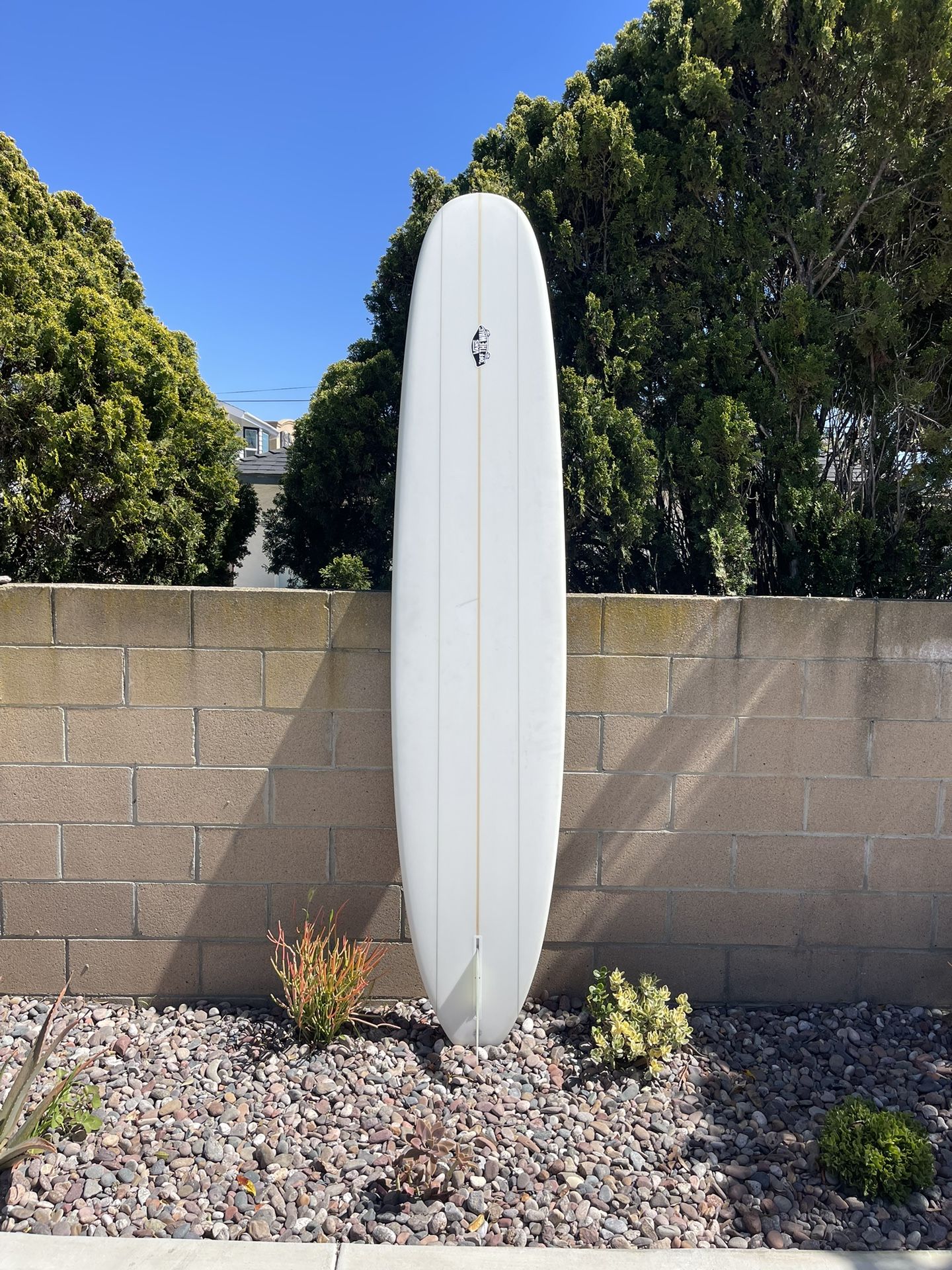 9’5 Longboard