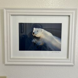 Photograph By Ira Meyer