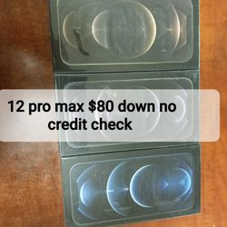 iPhone 12 Pro Max 