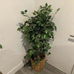Artificial Tree