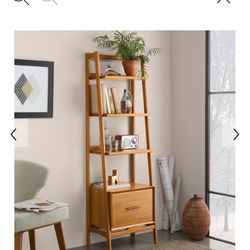West Elm Midcentury Modern Bookshelf