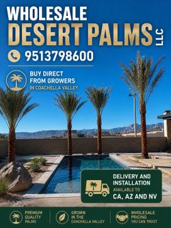 Resort style Palms