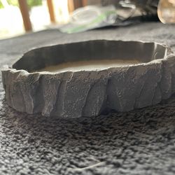 Reptile Bowl