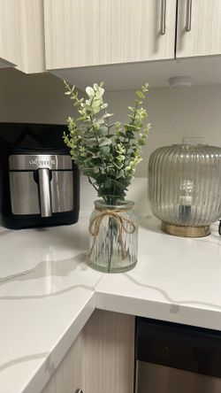 Eucalyptus Plant Decor 