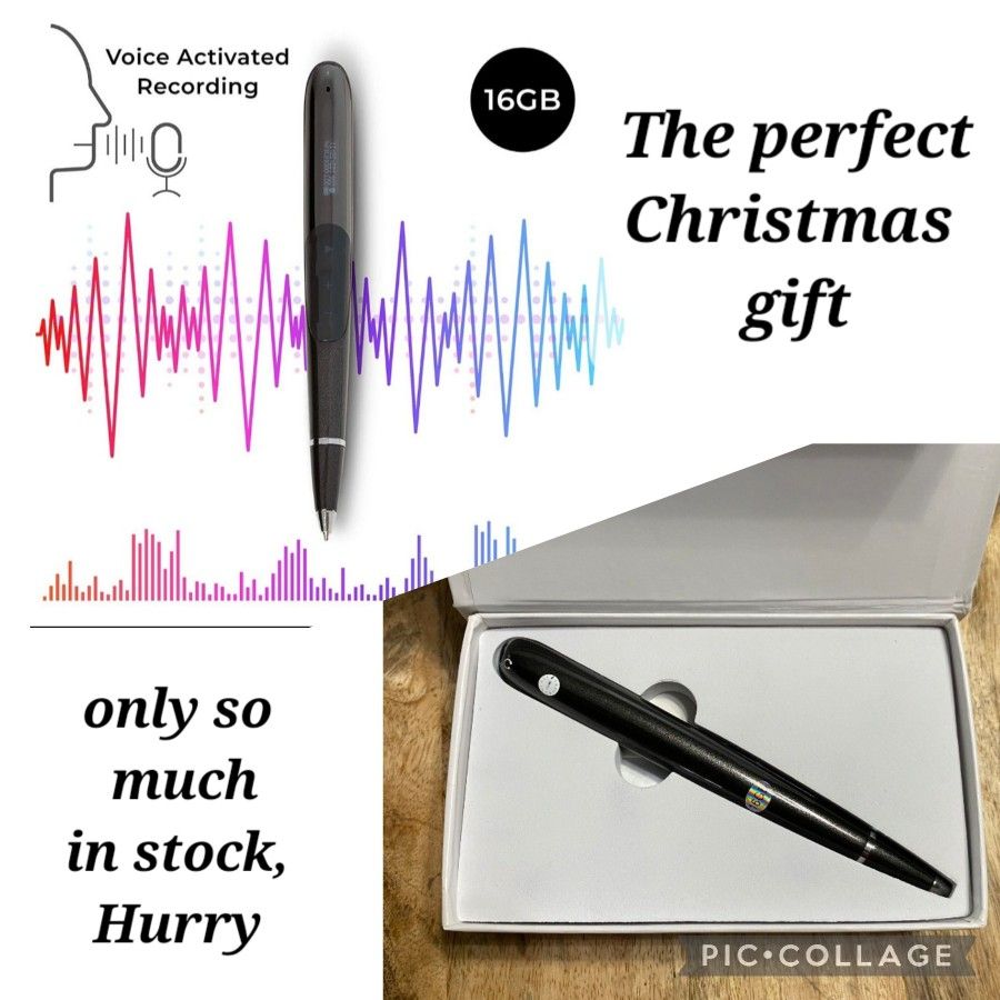 Digital Voice Recorder Pen Gift