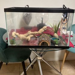 Reptile Tank 