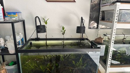 Lominie Aquarium lights