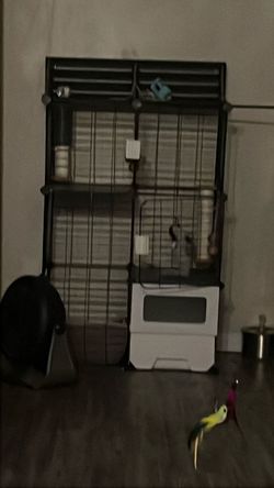 Cats cage