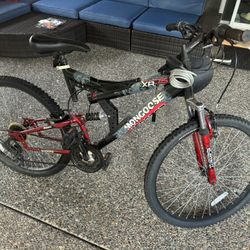 Mountain Bike
