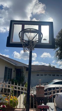 Lifetime basketball hoop adjustable