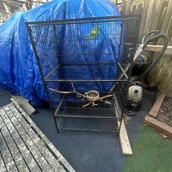Bird Cage 
