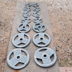 255lbs Olympic Weights 