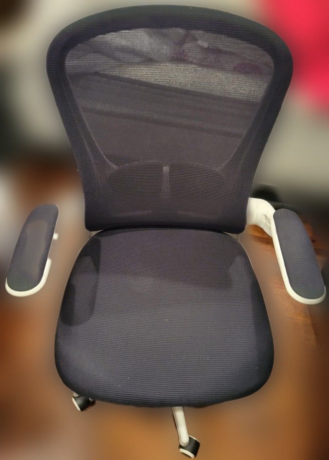 Office Chairs (Two) $80 Each 